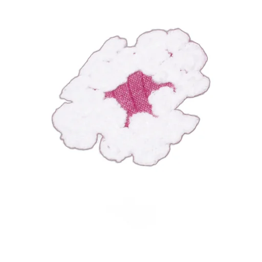 Cw Garment Dyed Cap