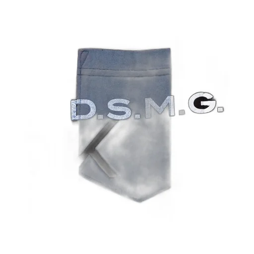 Dsmg Lqqk Pocket L/S Tee