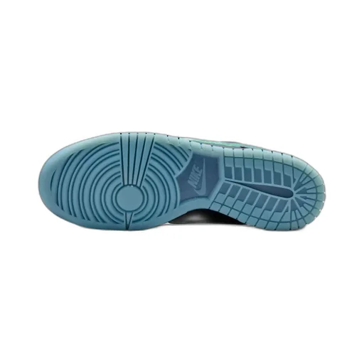 Nike Dunk Low Retro Ltd Hwn