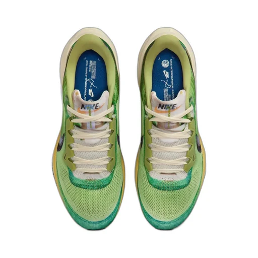 Air Zoom Pegasus 41 Se