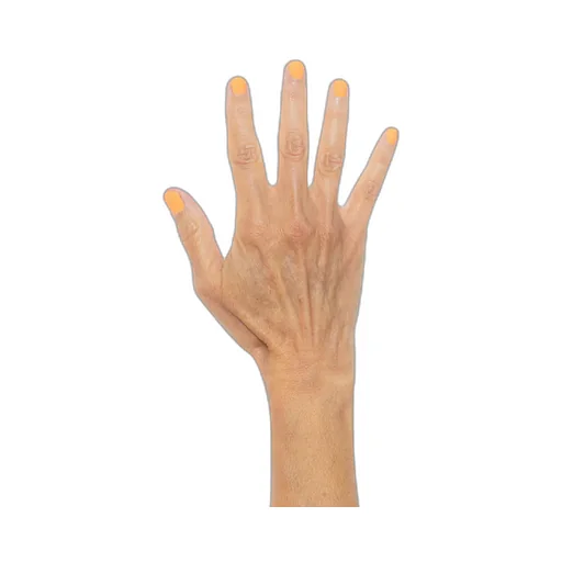 Nail Polish