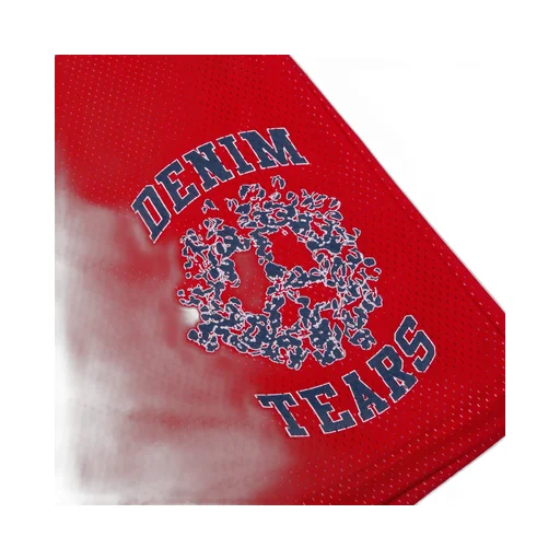 Denim University Mesh Shorts