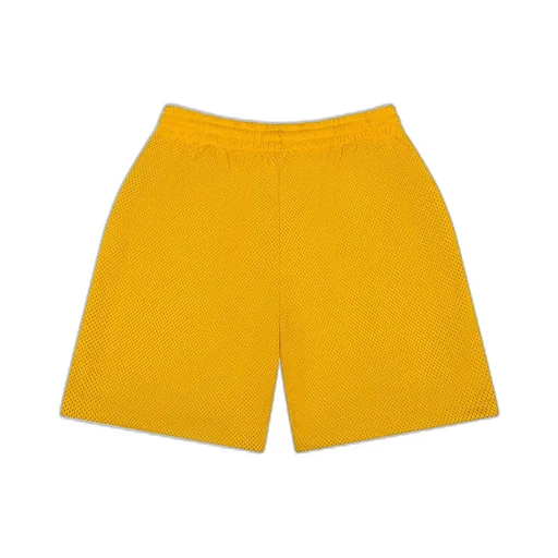 Denim University Mesh Shorts