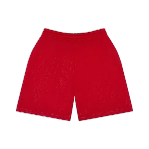 Denim University Mesh Shorts