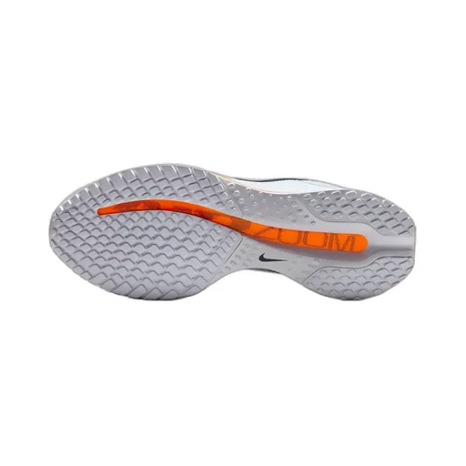 Nike Pegasus Premium