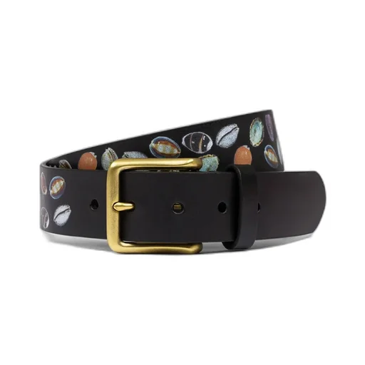 Shell Belt