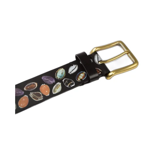 Shell Belt