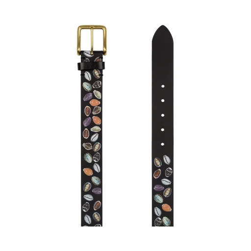 Shell Belt