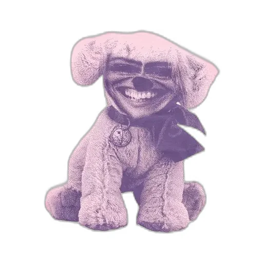 Stuffed Animal T-Shirt