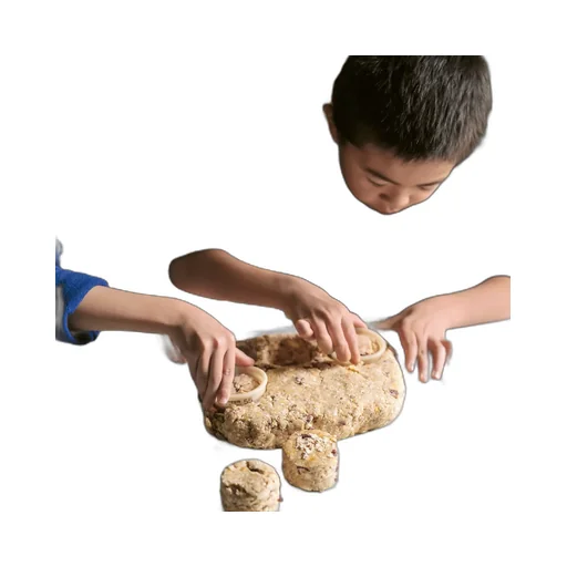 Breakfast Lunch Tea With Children 1000012107536