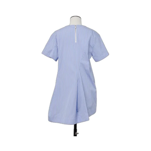 Poplin Dress