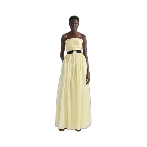 Bustier Evening Dress In Organza