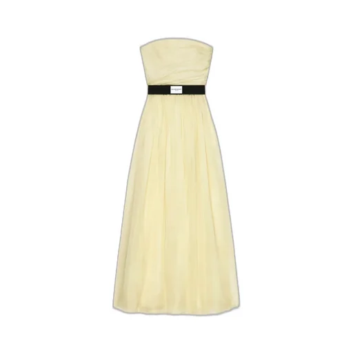 Bustier Evening Dress In Organza