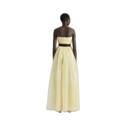 Bustier Evening Dress In Organza