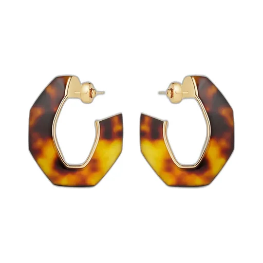 Chain Earrings In Metal And Resin