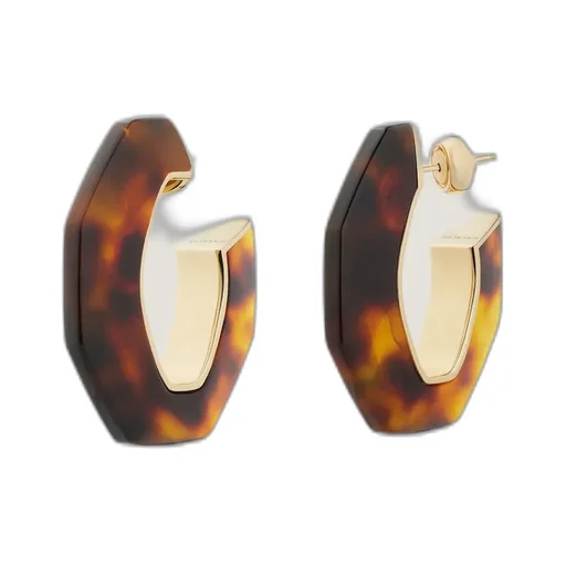 Chain Earrings In Metal And Resin