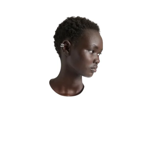 Maple Seed Earcuffs Set In Metal
