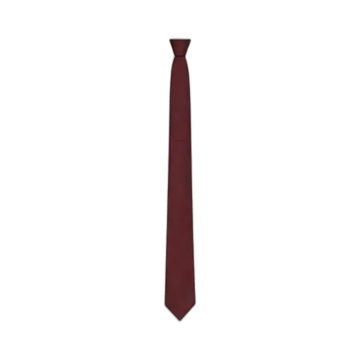 Givenchy Tie In Silk