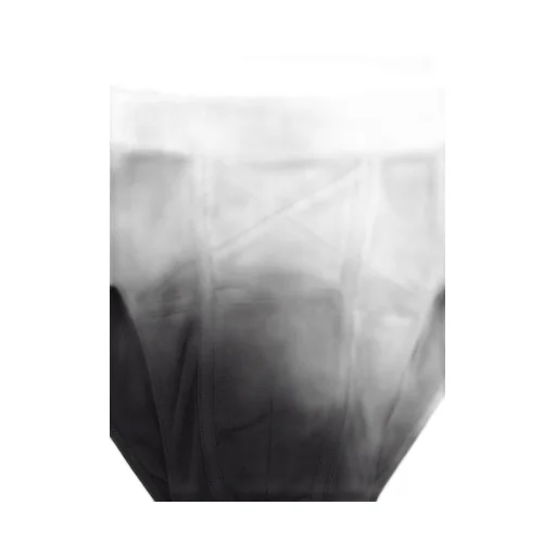 Rick Owens Temple Penta Brief In Black/Pearl Cotton Stretch Rib Jersey