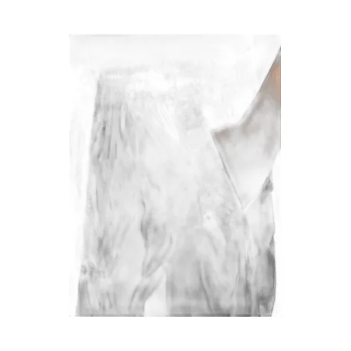 Rick Owens Temple Bela Pants In Black Shiny Nylon