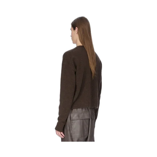 Rick Owens Concordians Tommy V Neck In Brown Alpaca Knit