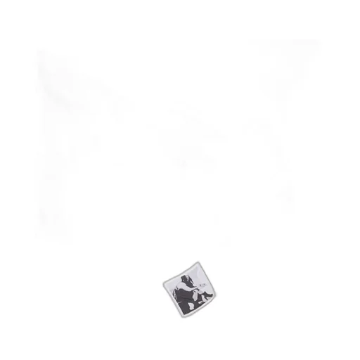 Drkshdw Concordians Jumbo Peter Flight In Palladium Foil Light Nylon