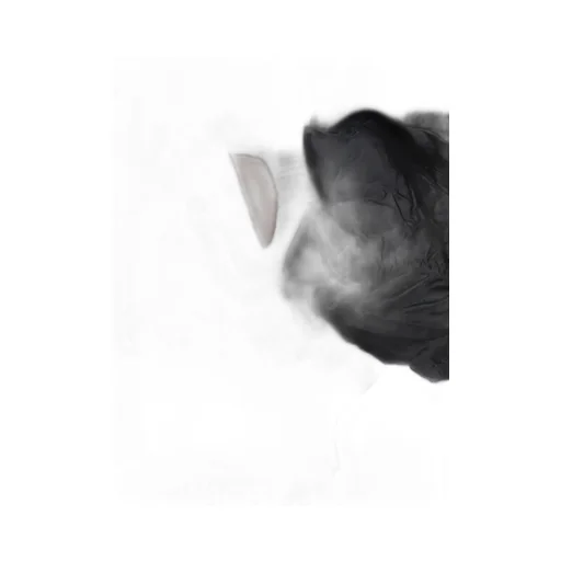 Rick Owens Temple Secchia Flight In Black Cupro Satin