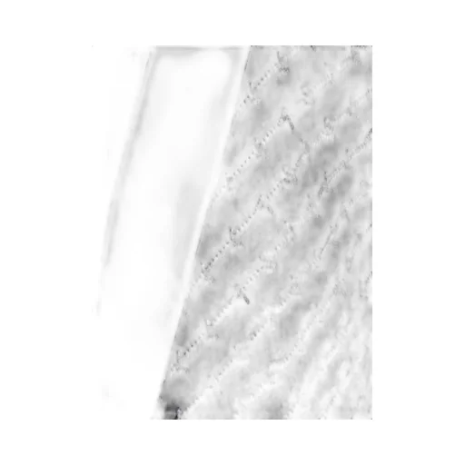 Logo Slim Shorts