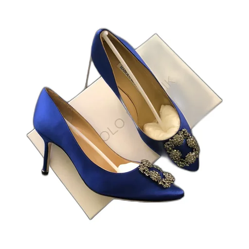 Manolo Blahnik Hangisi Embellished Pointed Toe Pumps