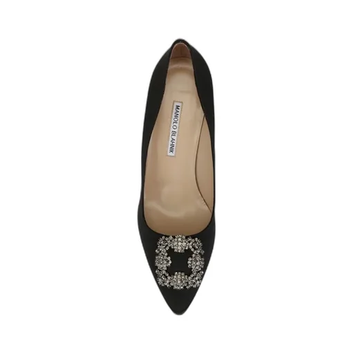 Manolo Blahnik Hangisi Embellished Pointed Toe Pumps