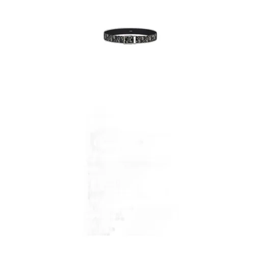 Dior Homme Jacquard Buckled Belt