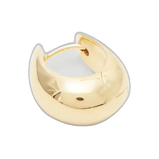 A Pair Of Hoop Earrings