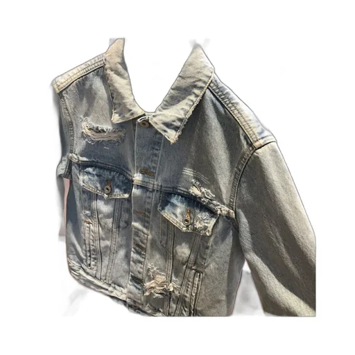 Embroidered Denim Jacket
