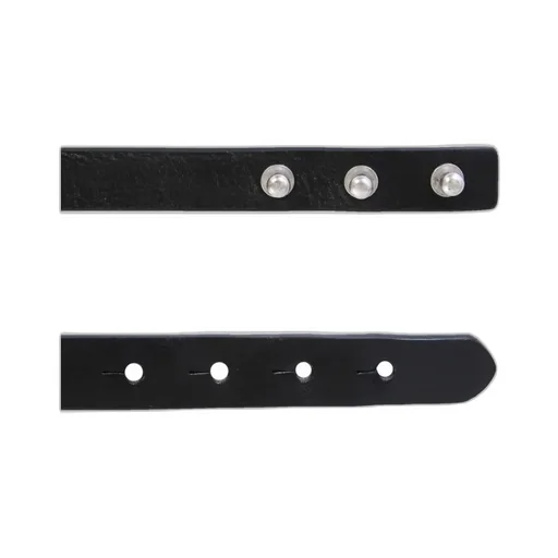 Dsquared2 Logo Plaque Belt