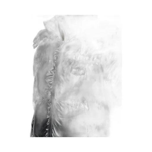 Long-Sleeved Down Jacket