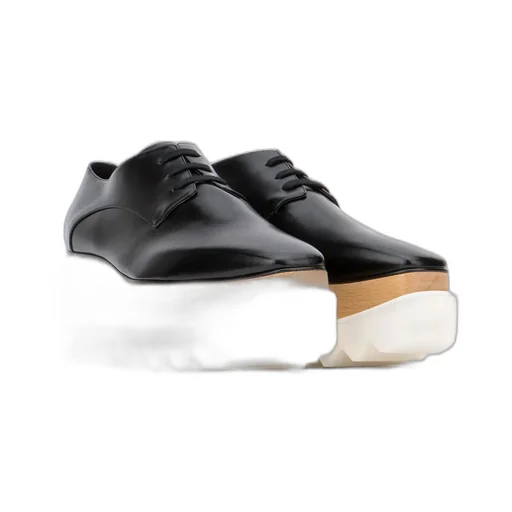 Stella Mccartney Elyse Lace-Up Platform Shoes