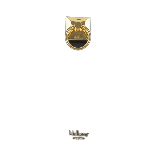 Mulberry Small Iris Top Handle Bag