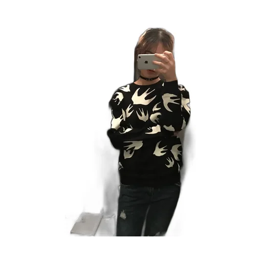 Swallow' Pullover