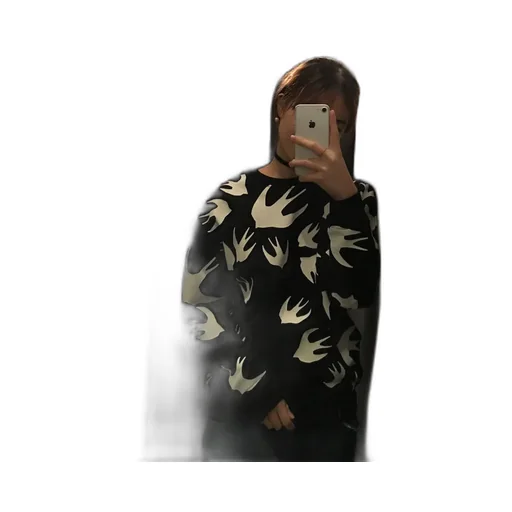 Swallow' Pullover