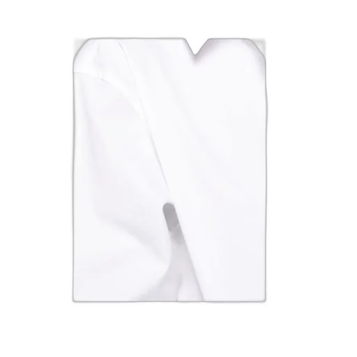 Saint Laurent Classic Buttoned Shirt