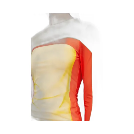 Long Sleeve Top In Mesh