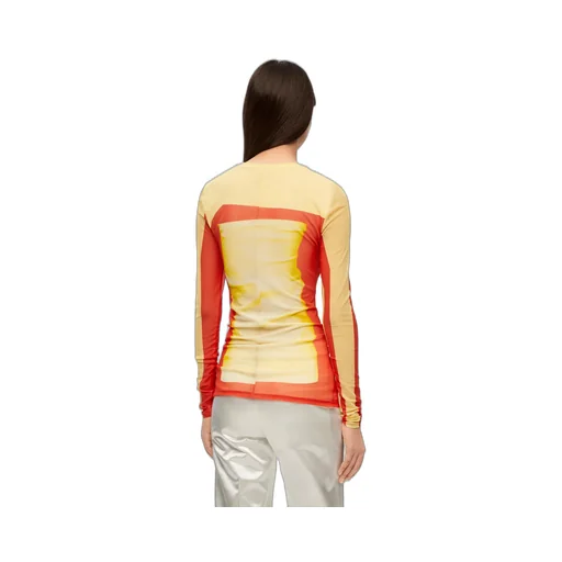 Long Sleeve Top In Mesh