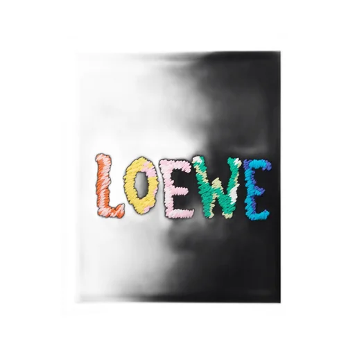 Loewe Logo Embroidered Crewneck T-Shirt