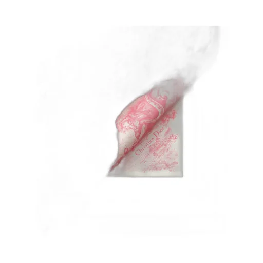 Dioriviera Toile De Jouy Sauvage Dior Silk Top