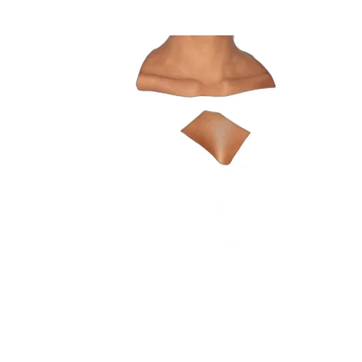 Vandalia Top