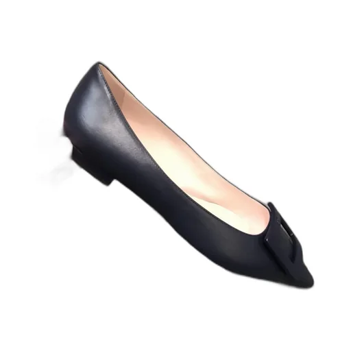 Roger Vivier Gommettine Pointed-Toe Flat Shoes