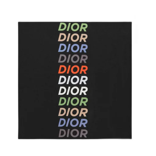 Dior Homme Logo Printed Long-Sleeved Hoodie