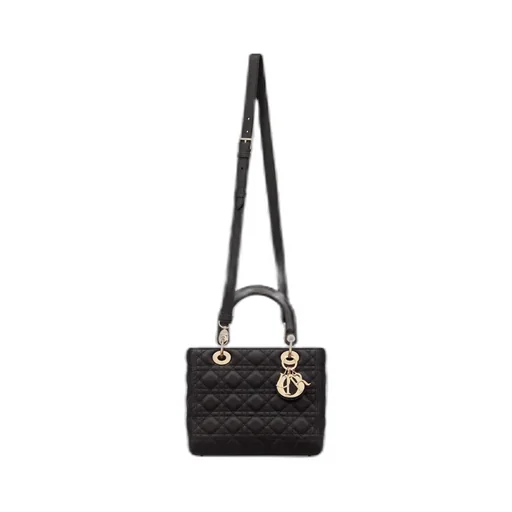 Medium Lady Dior Bag