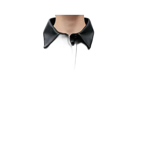 Loewe Cropped Long-Sleeved Shirt
