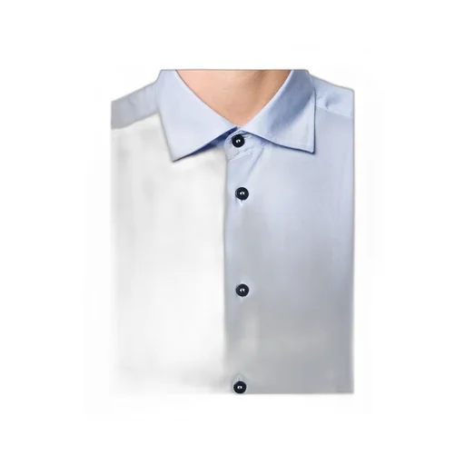 Classic Button-Up Shirt